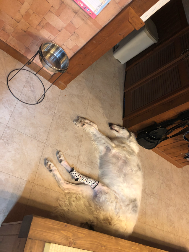 63c6d38a.png