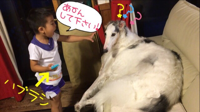 6433b81a.png