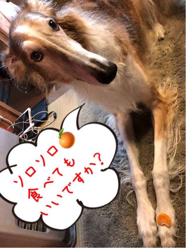 67757ad0.png