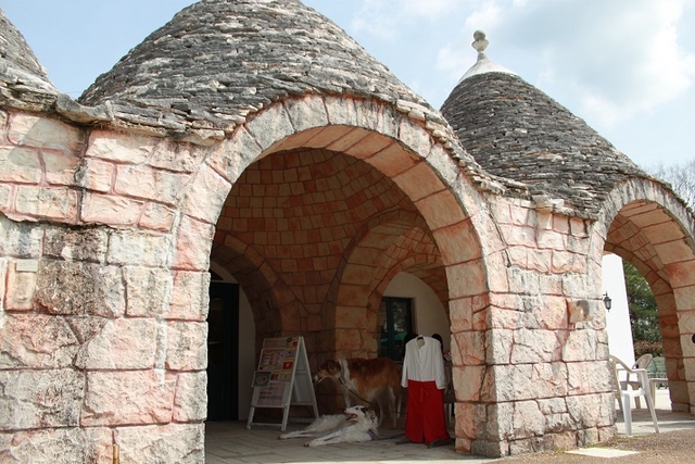 6b485678.jpg
