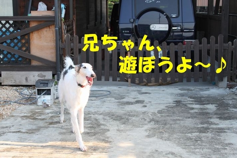 6d3cf795.jpg