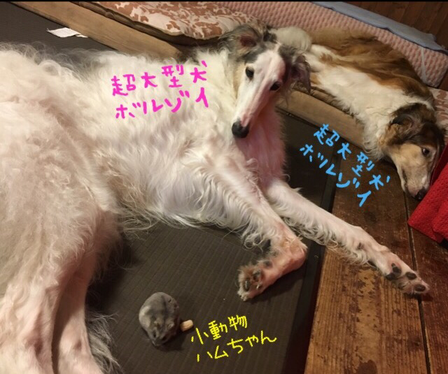 72578c94.png