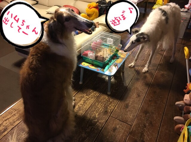 7380d8a5.png