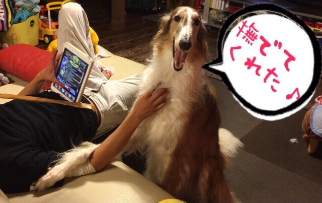76c49700.png