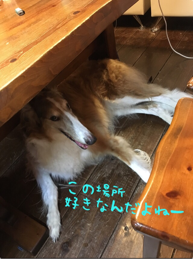 7703c75b.png