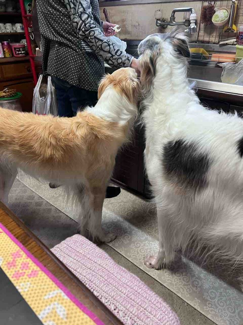 IMG_8199