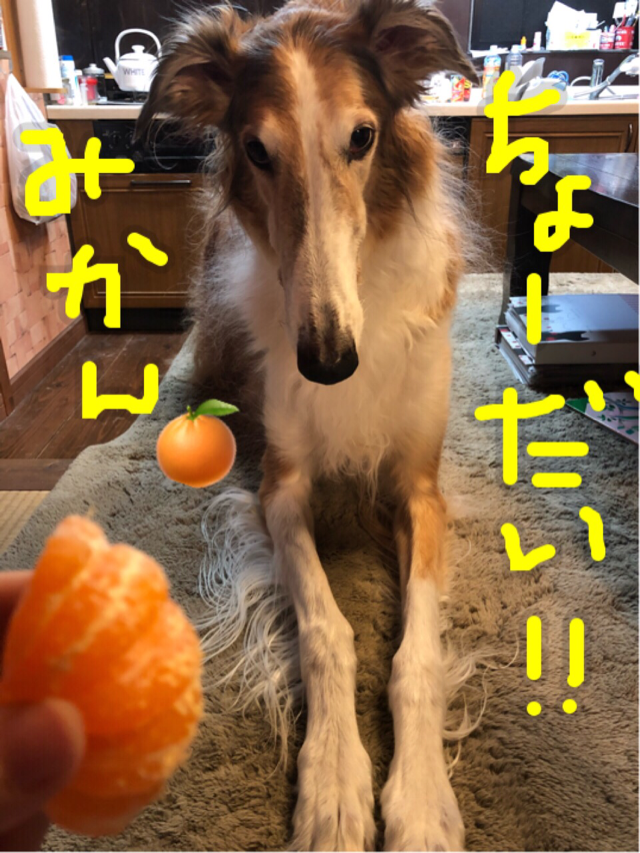 7b897229.png