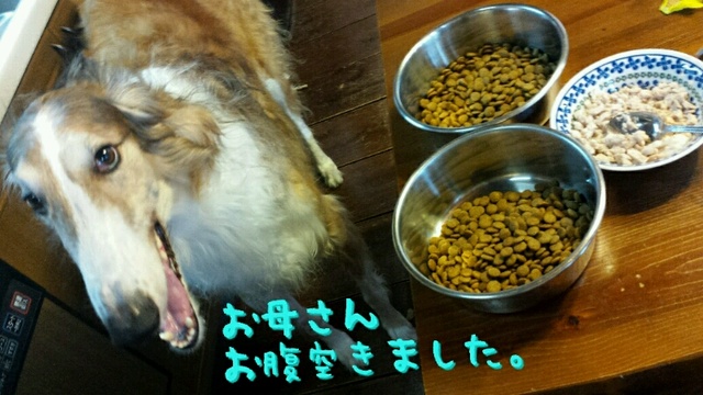 7ea7d08d.jpg