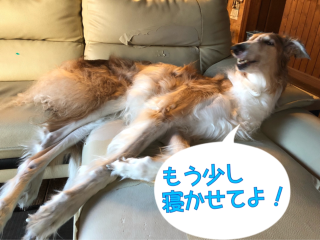 7f6e9c4f.png