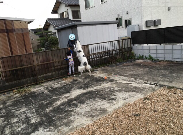 84eb972d.png