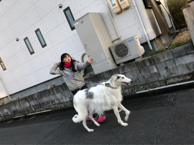 8622a1b9.png