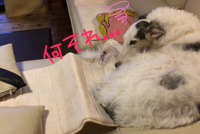 88cfc97e.png