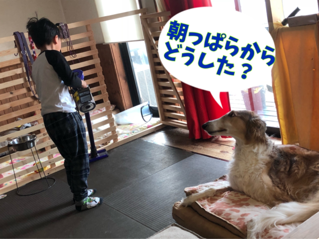 90808f7c.png
