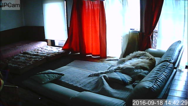 93b9055f.png