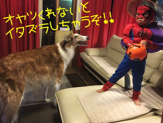 9481fd74.png