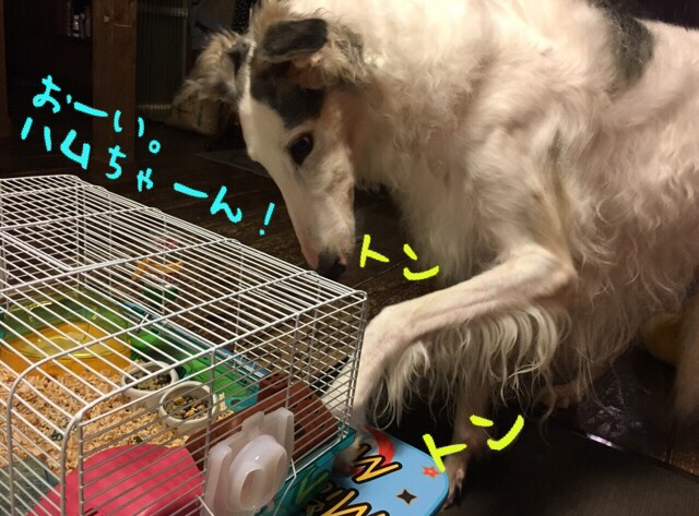 986bad7e.png