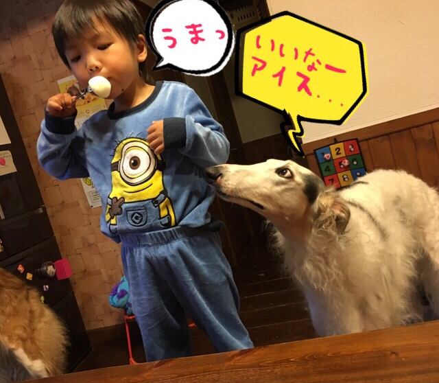 9acd386d.png