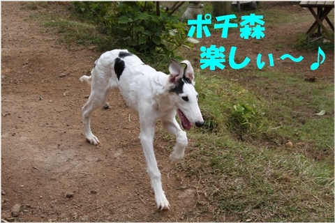 9f054bf8.jpg