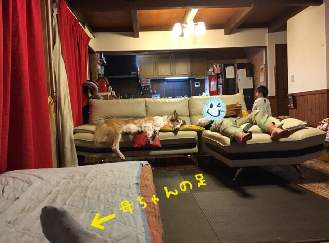 a141718f.png