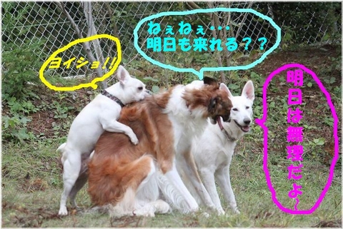 a5f4f28c.jpg