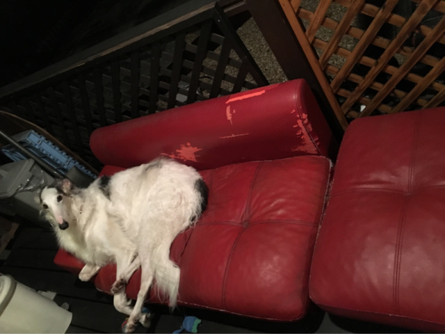 a6f4a8ba.png