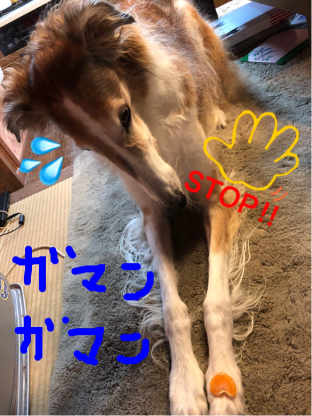 a8128a94.png