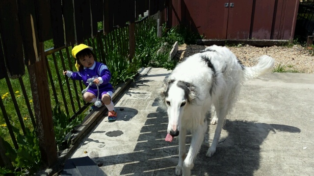 ac012a28.jpg