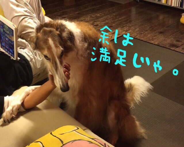 b920611d.png