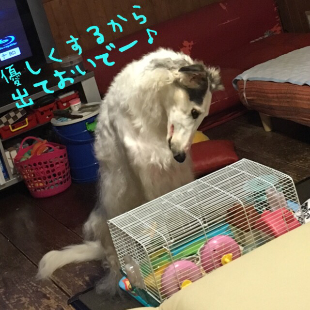 c2475e6d.png