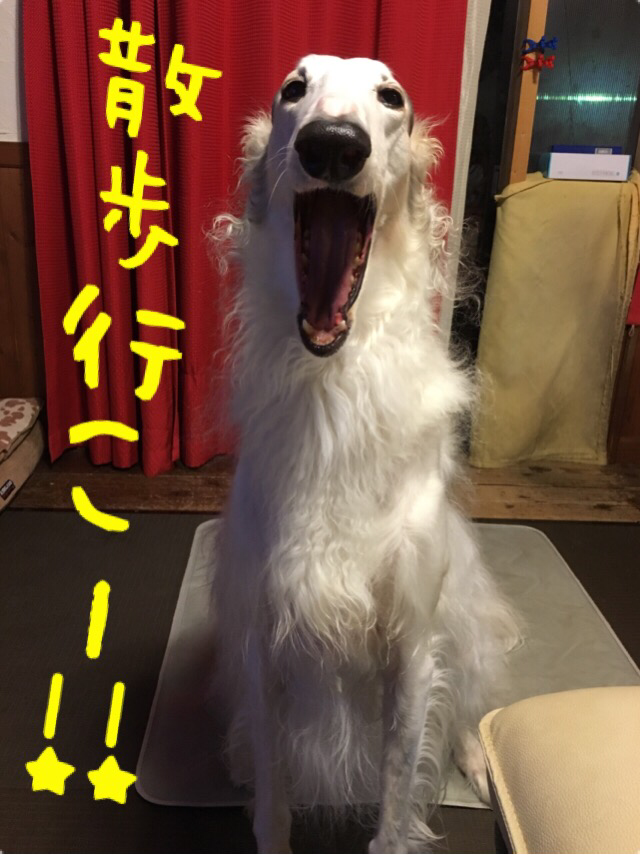 c2d94217.png