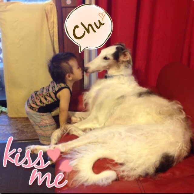 c703683f.png