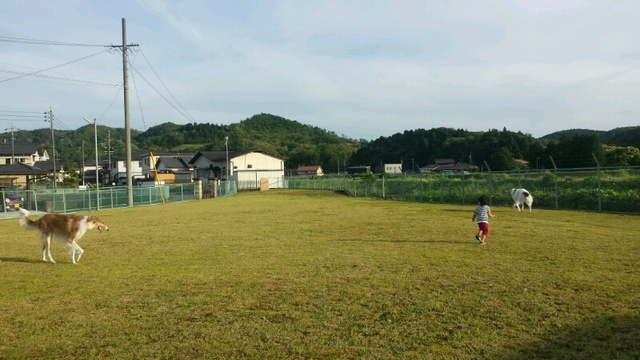 c9611ac5.jpg