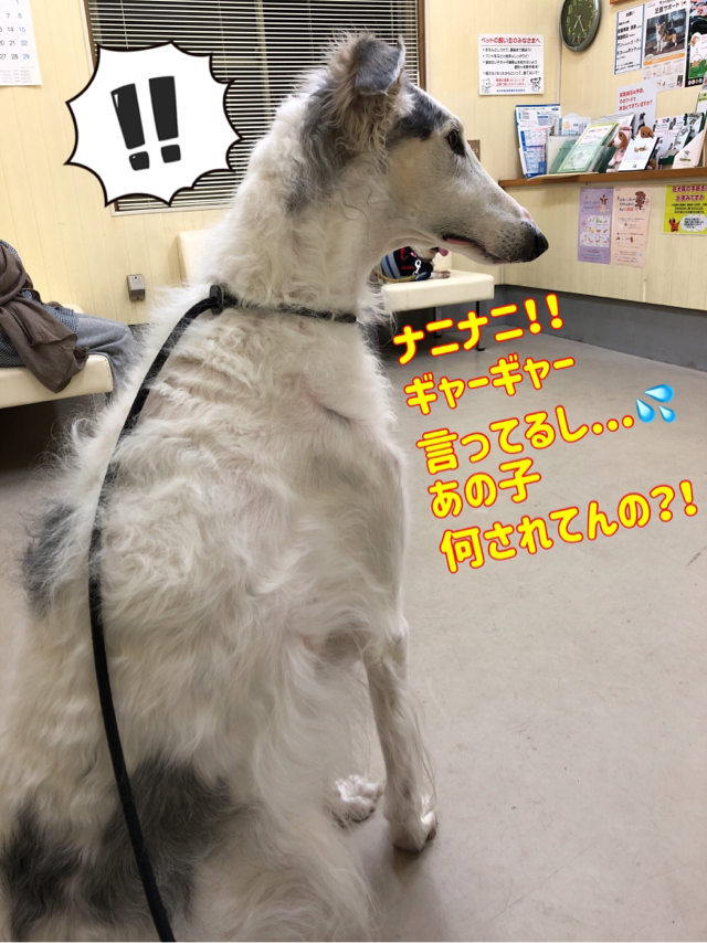 cddcd256.png