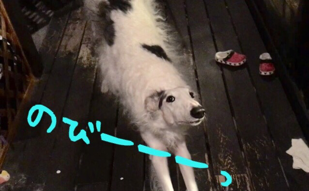 cf4c0f8f.png