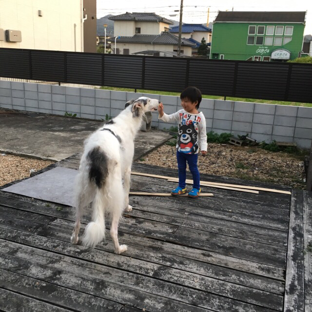 d637f5c7.png