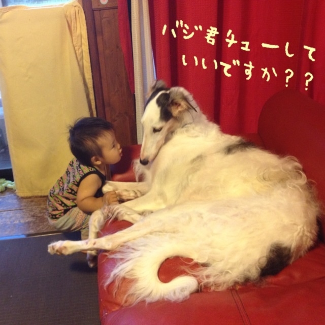 d85113b5.jpg