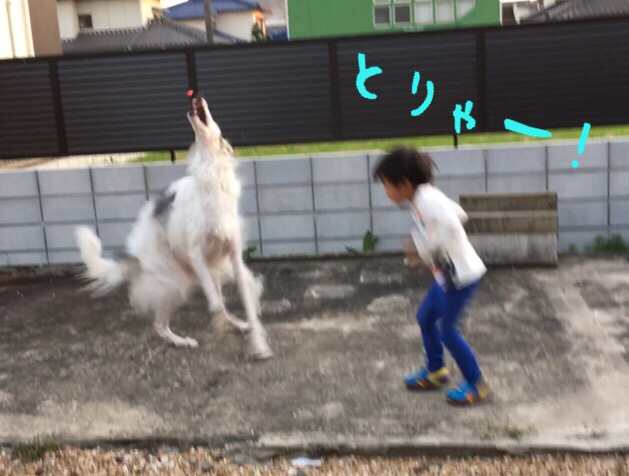 de4e83f5.png