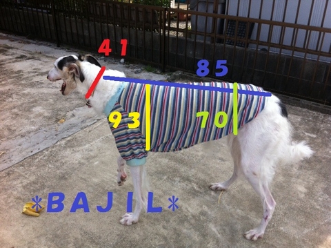 e2bb3ba7.jpg