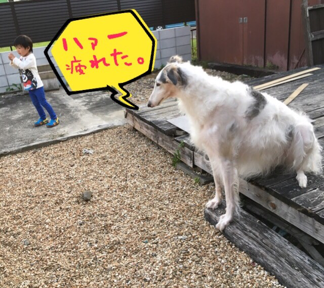 e8b6590b.png