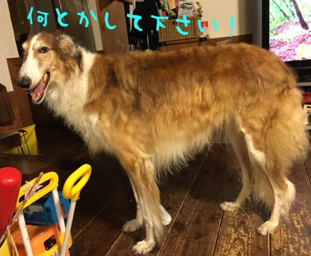 f6966914.png