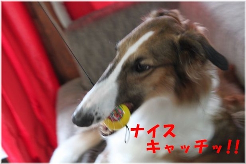 f9683ea0.jpg