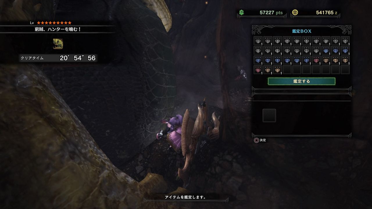 賊竜が超強化 アメンボ達の気ままなモンハン生活