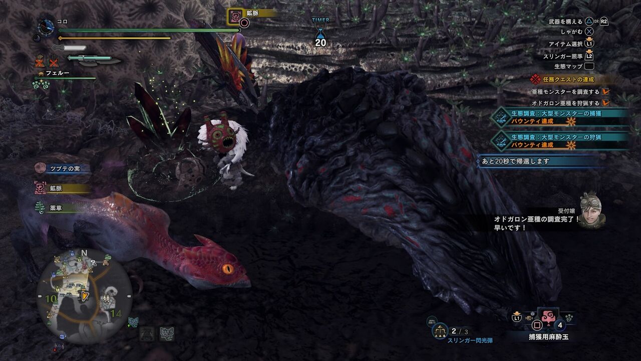 コロのib日誌page24 亜種を調査せよ オドガロン亜種 アメンボ達の気ままなモンハン生活