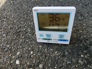 CIMG6996