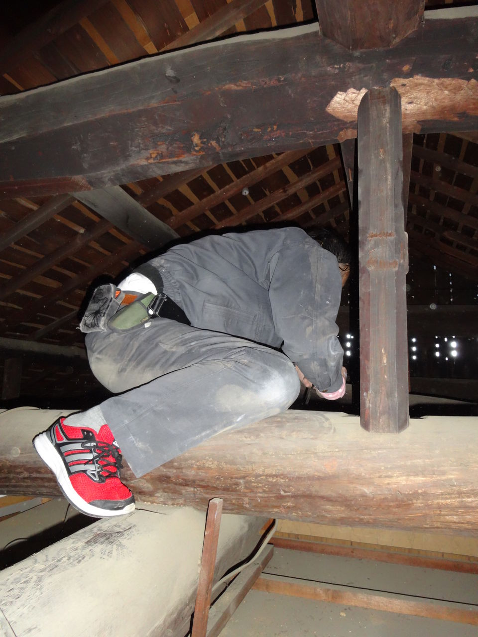 古い木造住宅のインスペクションしてきました 快適な暮らし応援隊 古い木造住宅のインスペクションしてきました 快適な暮らし応援隊