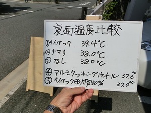 CIMG6981