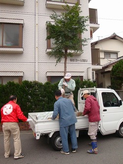 DSC00009