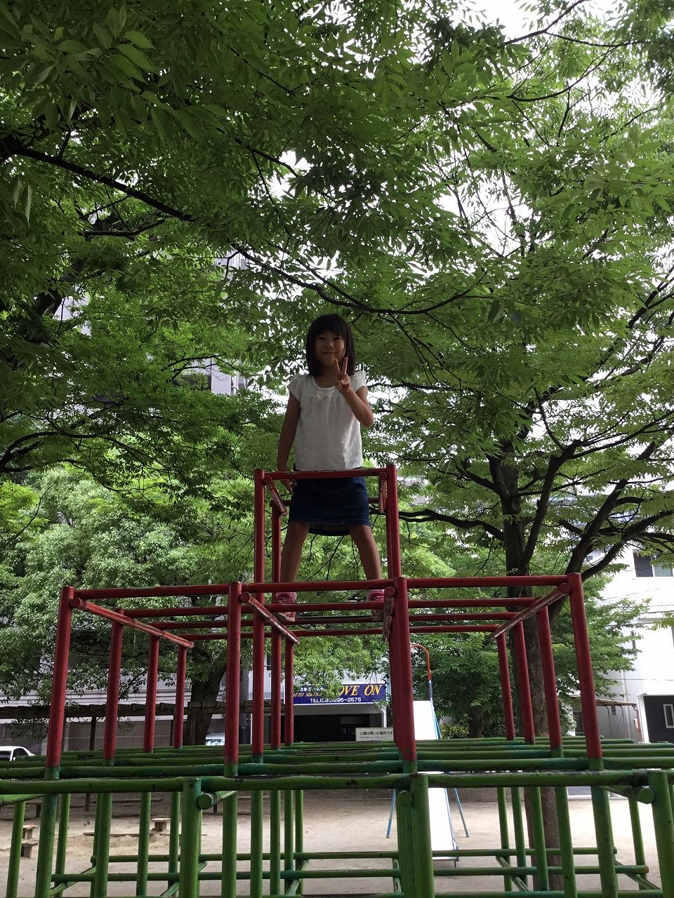 孫と遊ぶ 快適な暮らし応援隊