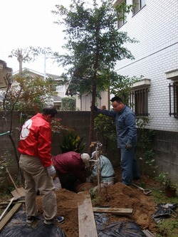 DSC00001