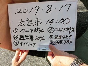 CIMG6975